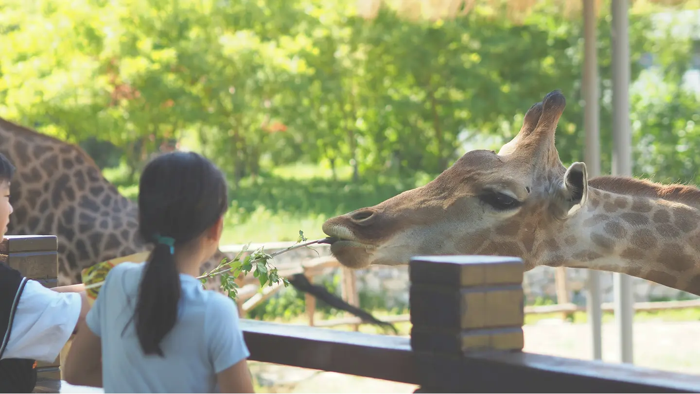 きょうと園